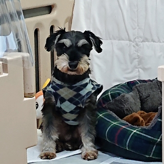 沢山の応援を頂きました、ありがとうございます