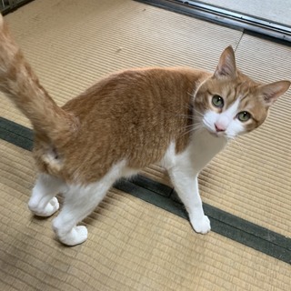 ファンタ可愛いじぃちゃん　高齢者O.K