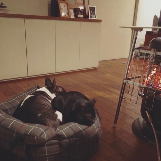 kyoh0731のカバー写真