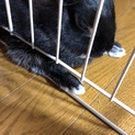 急募！代理での募集です。