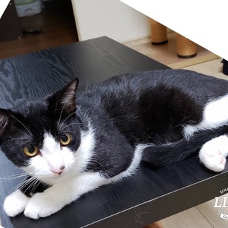 そろそろ家族に出逢いたい(* ॑꒳ ॑* )⋆*