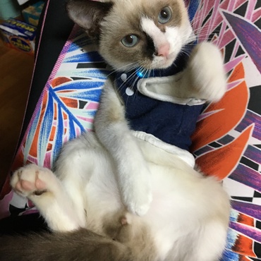 の写真