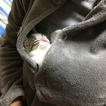 とーちゃんの懐で爆眠