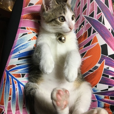 の写真