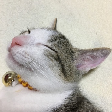 の写真
