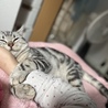 あい、、