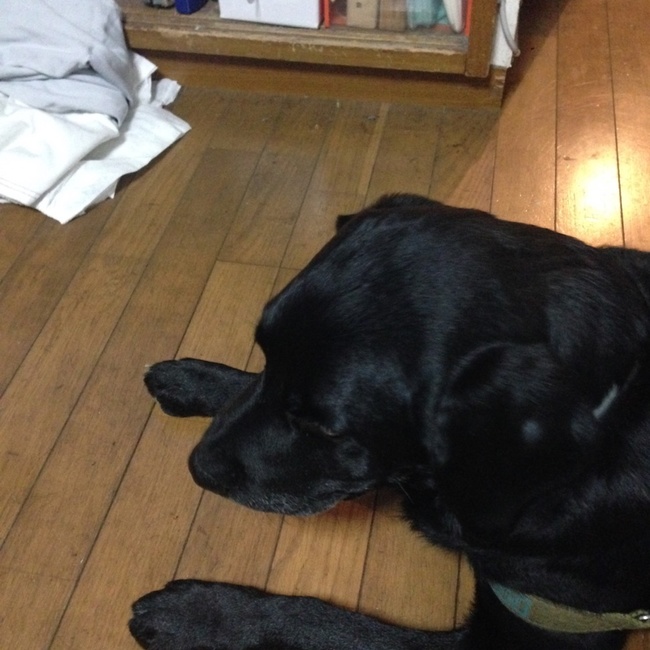テツゴリのカバー写真