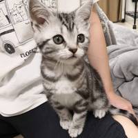 小雪（こゆき）