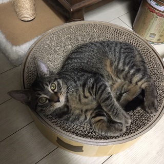 小太郎くん ６ヵ月