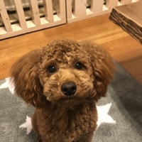 にこ
