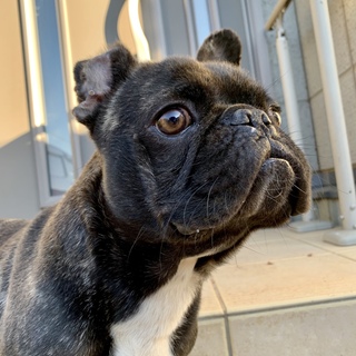 ご応募頂きありがとうございました