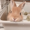 一児ママ さん