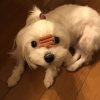 リリーナ
