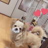 の写真