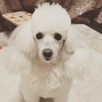 らに