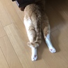 頭隠して…笑。かくれんぼ？