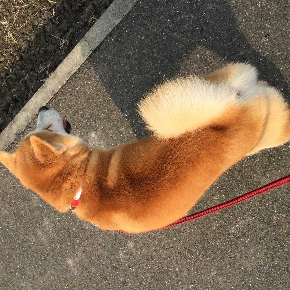 寛太のカバー写真