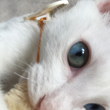 どんな瞳になるのかな？