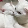 仲良し姉妹❣️