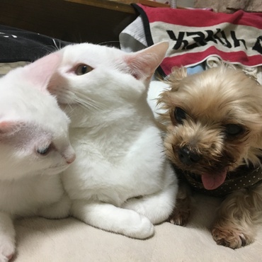3ショット❣️みんな仲良し
