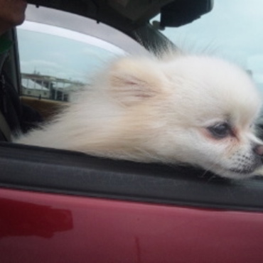 ドライブ大好き