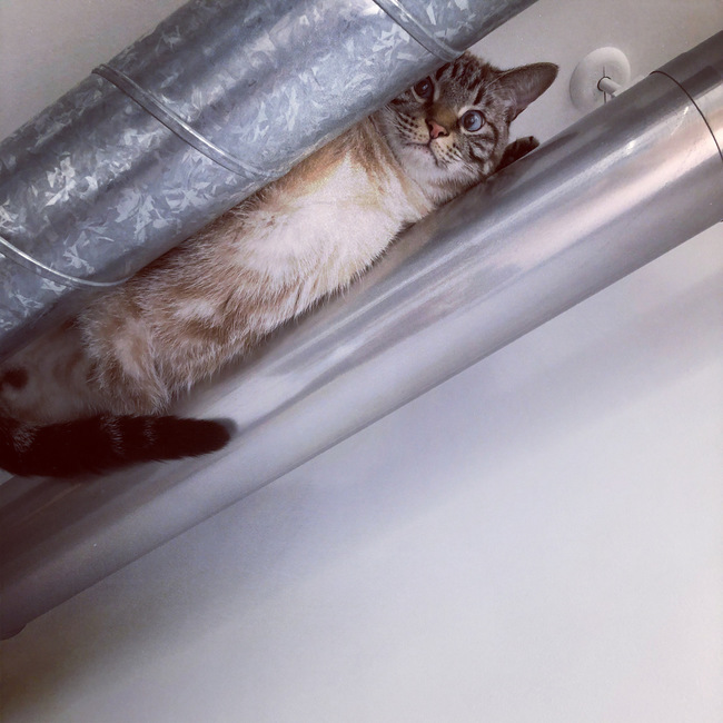 Mi-na0208のカバー写真