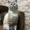 Mi-na0208