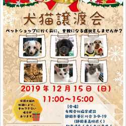 静岡市葵区で開催！　犬猫譲渡会