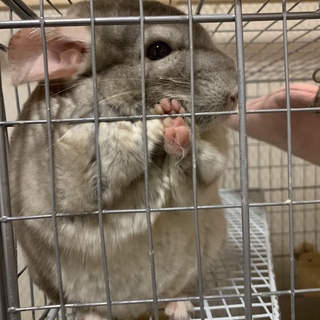 ご応募頂きありがとうございました！