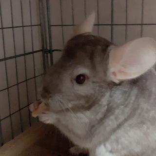 ご応募頂きありがとうございました！