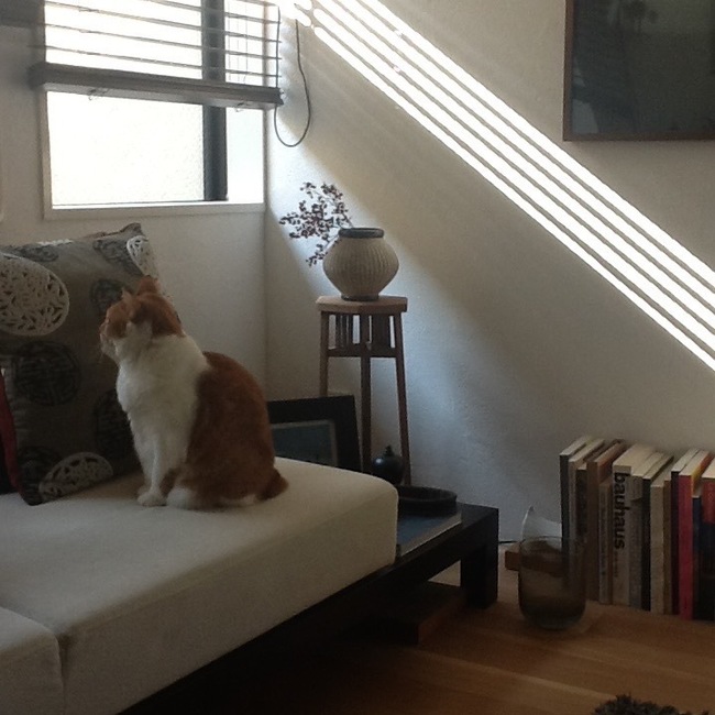 のりとらじのカバー写真