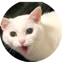 萩