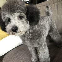 ナルト