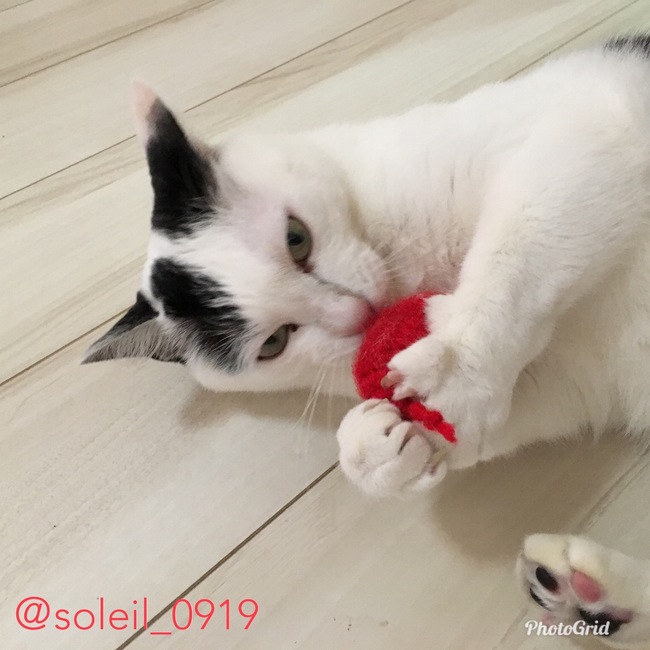 あみもの屋さんそれいゆのカバー写真