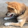 ゆうかたろう