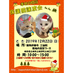 土岐市動物供養寺三仙院　保護猫譲渡会