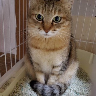 【募集停止】生きていてもいいですか？