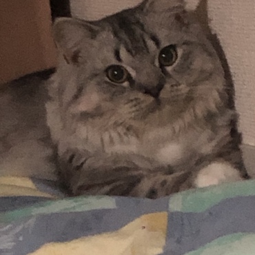 の写真