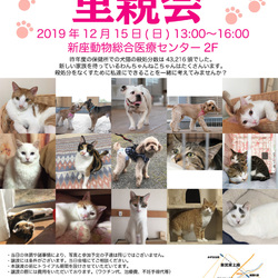 新座動物総合医療センター犬猫里親会