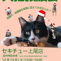 セキチュー上尾店犬猫里親会