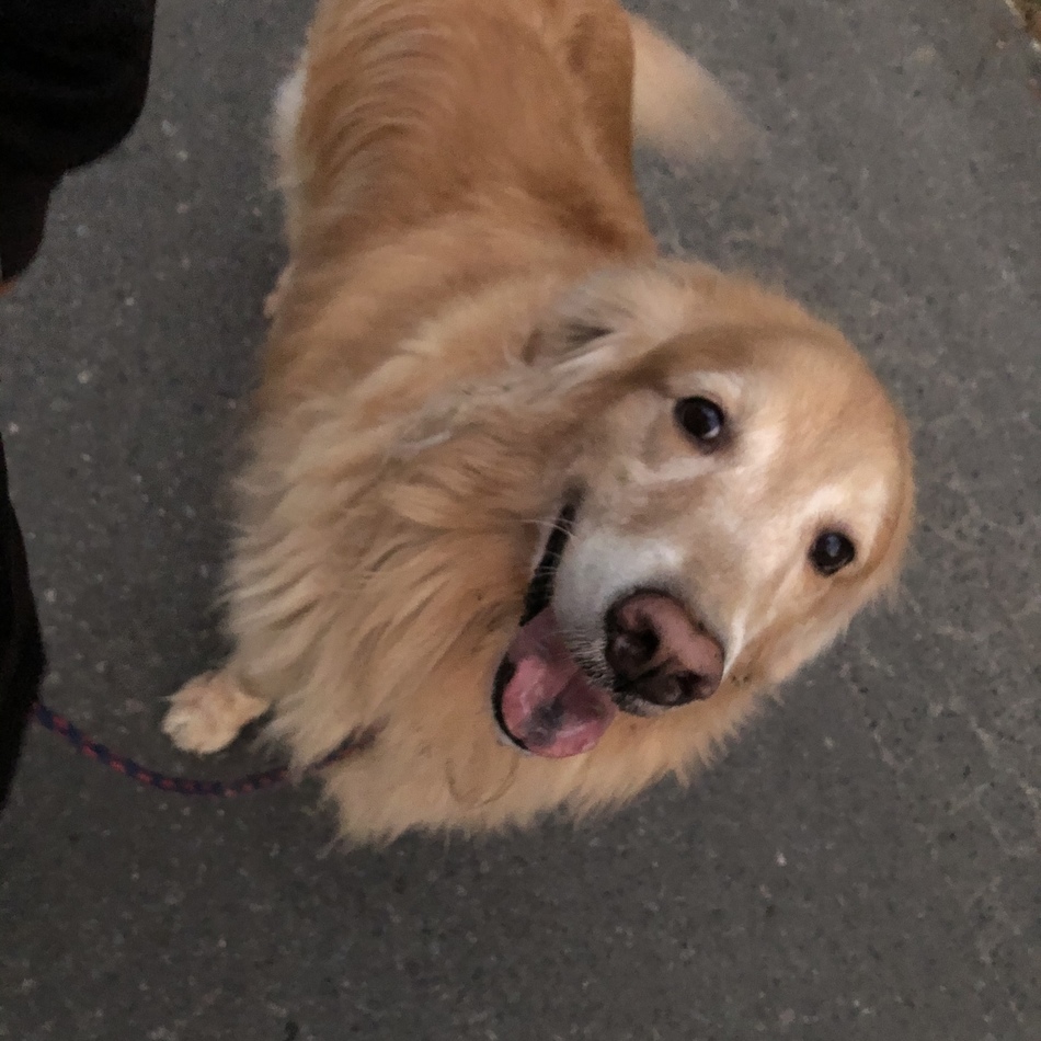 アンディのカバー写真