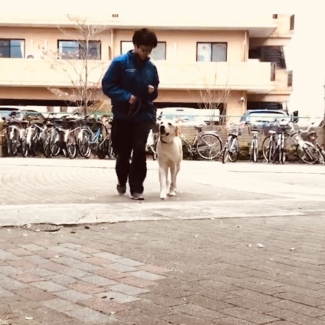 優香0905のカバー写真