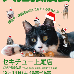 セキチュー上尾店犬猫譲渡会（室内）開催