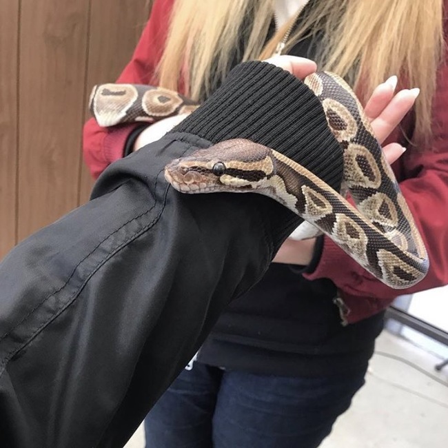 mii_10のカバー写真