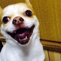 ゆう