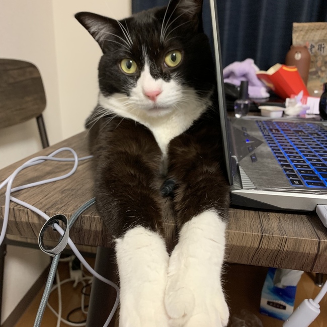 ビキんのカバー写真