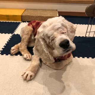 おっとり穏やかに過ごそうね、ののちゃん