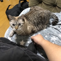 こめ