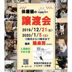 保護猫の譲渡会
