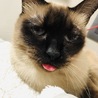 しまい忘れてるよ！